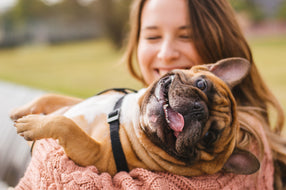 How to Make Anti-Stress Wrap for a Dog Yourself? 13 Best Dogs For First-Time Owners!