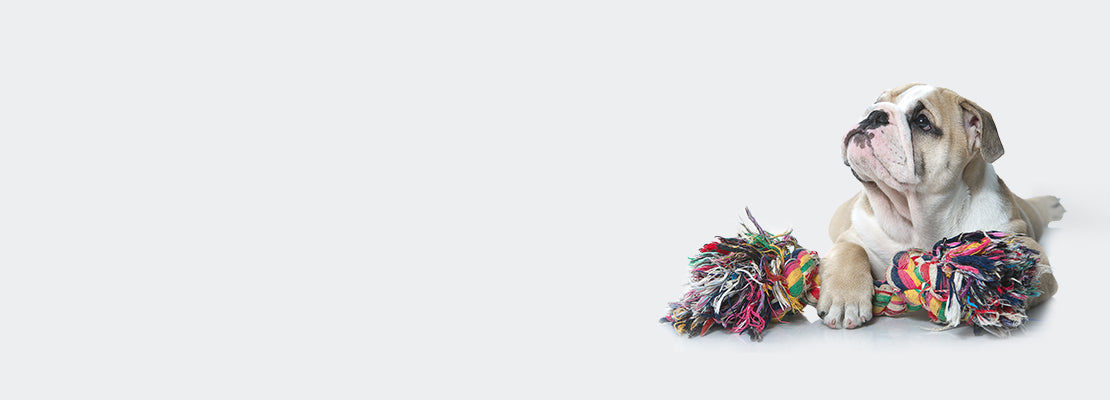 Training-Toys Training-Toys