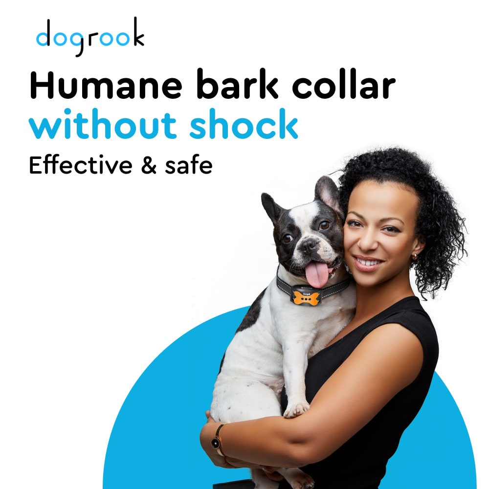 Bark Control Collar for Dogs - Orange - DogRook