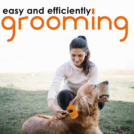 Dog & Cat Slicker Brush Dog & Cat Slicker Brush