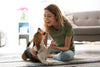 TOP 5 Smart Toys for Dogs TOP 5 Smart Toys for Dogs