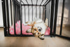 How to Train your Dog to Crate? How to Train your Dog to Crate?