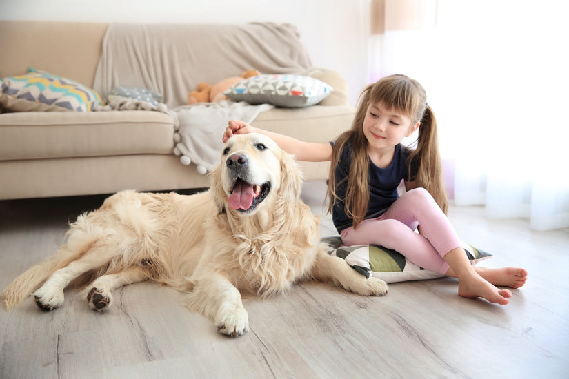 The Best Large Dog Breeds for Kids. TOP-10 Selection of Breeds