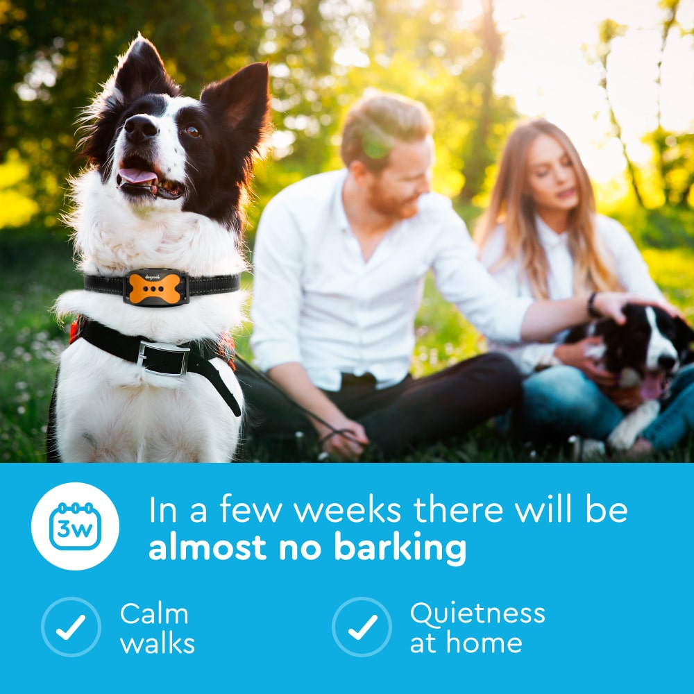 Bark Control Collar for Dogs Orange DogRook