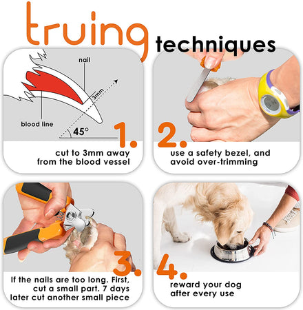 How To Use Cat Nail Clippers?: Expert Tips Revealed