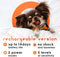 Bark Control Collar for Dogs - Orange