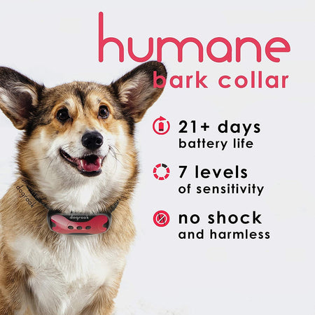 Bark Control Collar for Dogs - Pink